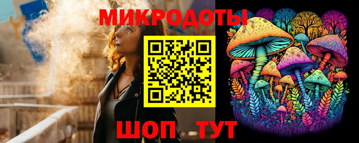 Вятские Поляны  Псилоцибиновые грибы Psilocybe  Вход с VPN 