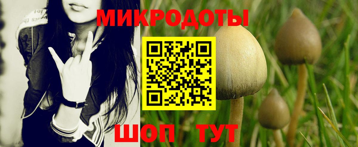 Галлюциногенные грибы мухоморы Вятские Поляны